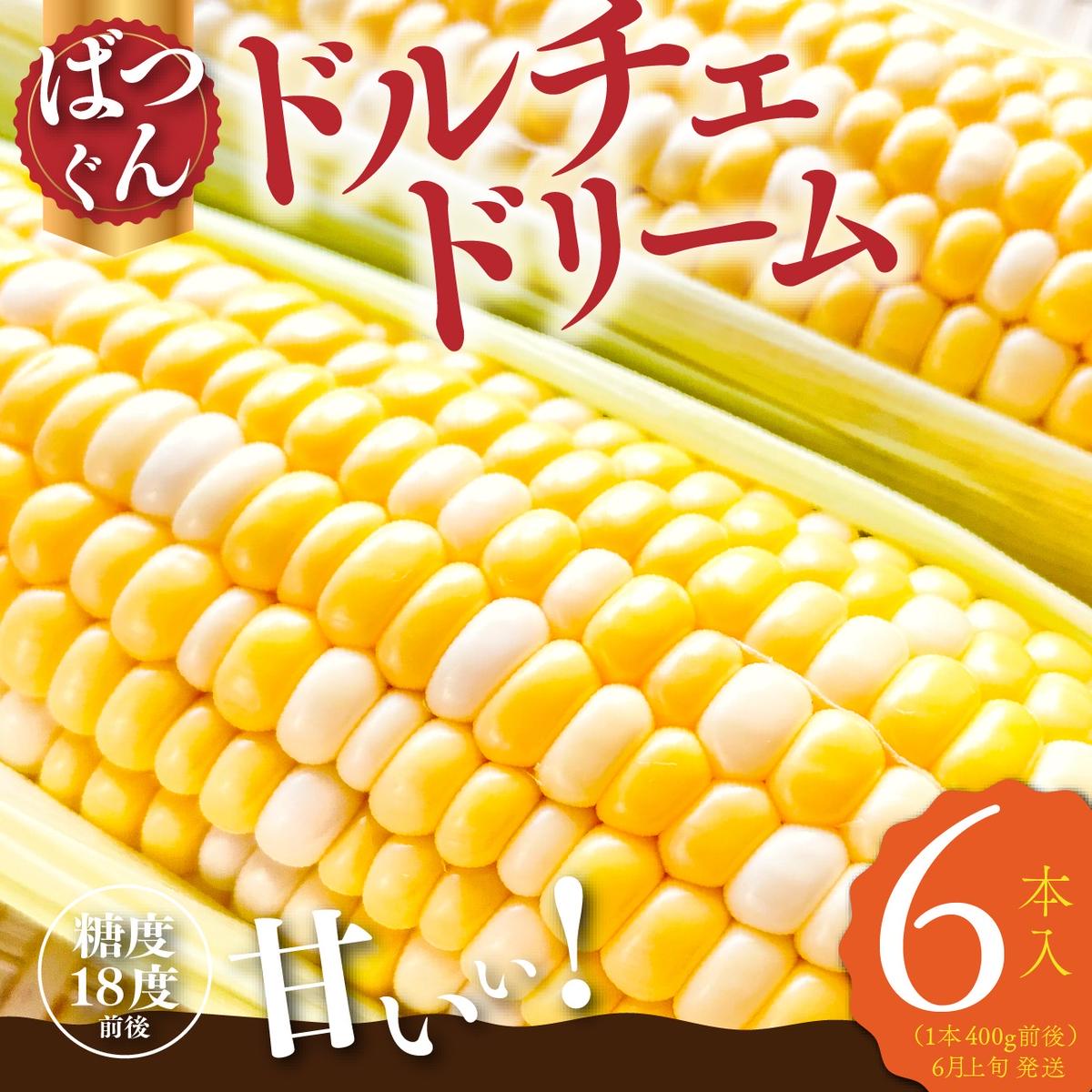 【ふるさと納税】【市川三郷町共通返礼品】ドルチェドリーム 6本入り【2025年6月上旬から発送】REGALO[5530-0396]　お届け：2025年6月上旬より順次発送予定