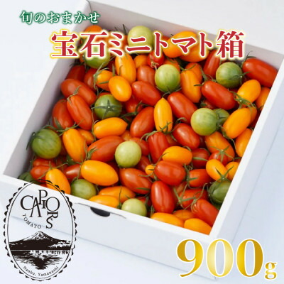 【ふるさと納税】【カピオトマト】旬のおまかせ宝石ミニトマト箱 900g【1460268】