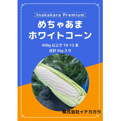 【ふるさと納税】【めちゃあま】ホイップコーン【濃厚半生食感】2L(400g以上)を10～12本【配送不可地域：離島・北海道・沖縄県・中国・四国・九州】【1708603】