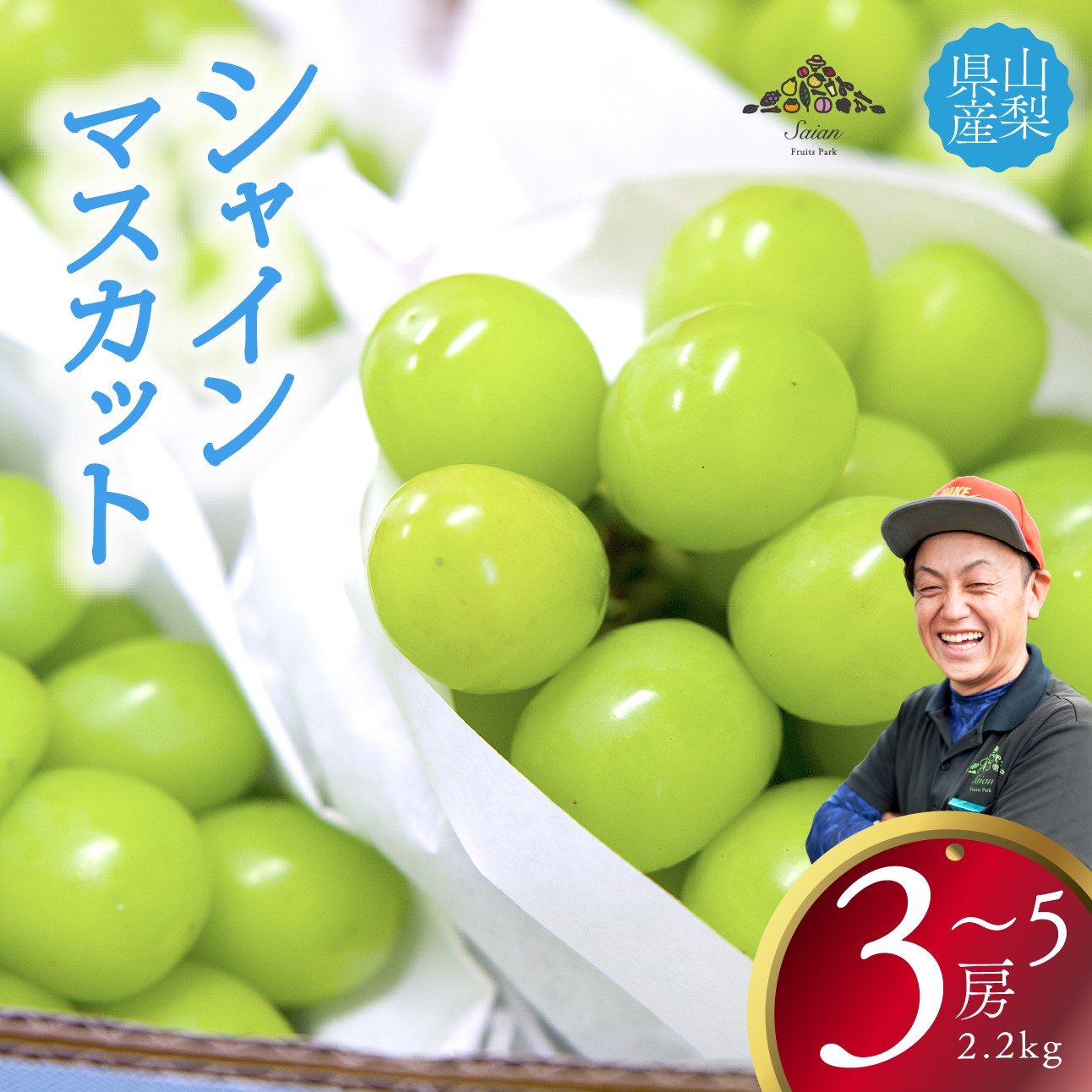 【ふるさと納税】【2025年発送分 先行予約】 シャインマスカット 約2.2kg（3～5房） 8月中旬以降発送予定 フルーツ 山梨県産 果物 シャイン マスカット ぶどう ブドウ 大粒 種なし 産地直送  富士川町 先行予約（A5307）