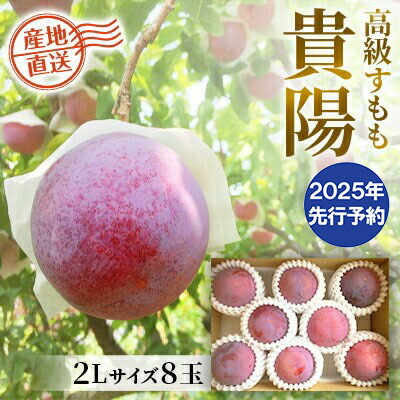 【ふるさと納税】【2025年発送分 先行予約】貴陽（2L）８玉　すもも プラム スモモ 李 くだもの 果物 山梨 やまなし フルーツ 産地直送 富士川町