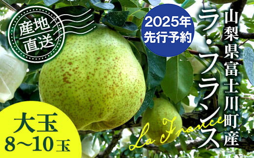 【ふるさと納税】【2025年発送分 先行予約】 ラ・フランス 大玉 8～10玉 (約４kg) ※2025年10月中旬以降発送予定　洋ナシ 洋梨 フルーツ 果物 富士川町
