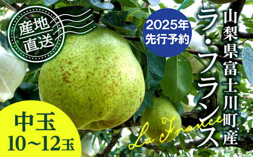 【ふるさと納税】【2025年発送分 先行予約】 ラ・フランス 中玉 10-12玉 (約3.5kg) ※2025年10月中旬以降発送予定　洋ナシ 洋梨 フルーツ 果物 富士川町