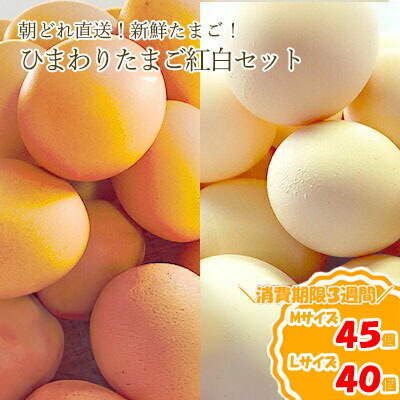 【ふるさと納税】農林水産大臣賞受賞！ひまわりたまご 紅白セット（40～45個）※破卵補償10個含（冷蔵） 卵 鶏卵 玉子 最短