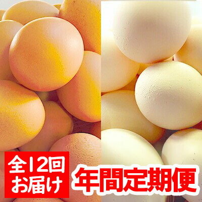 【ふるさと納税】ひまわりたまご紅白セット（年間定期セット）※破卵補償付 （冷蔵） 卵 鶏卵 玉子