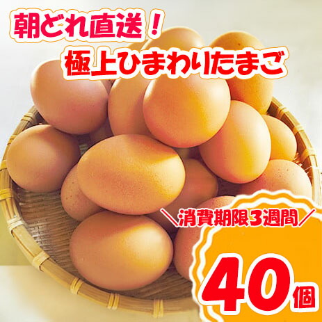 【ふるさと納税】極上ひまわりたまご（40個程度）※破卵補償10個含（冷蔵） 卵 鶏卵 玉子