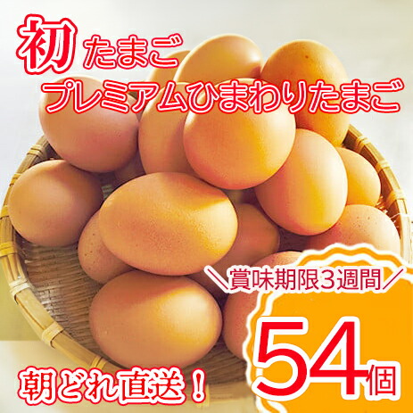 【ふるさと納税】＼2-5日以内発送／初たまご プレミアムひまわりたまご54個程度※破卵補償  卵 たまご 鶏卵 玉子 大容量 たまごかけご飯 たまごかけごはん 最短 濃厚