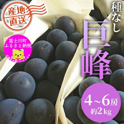 【ふるさと納税】【JA職員厳選】【2025年先行予約】富士川町産巨峰（ピオーネ）4-6房（約2kg） ぶどう 葡萄 ブドウ 種なし 大粒 山梨県産 フルーツ 果物 くだもの 産地直送 富士川町