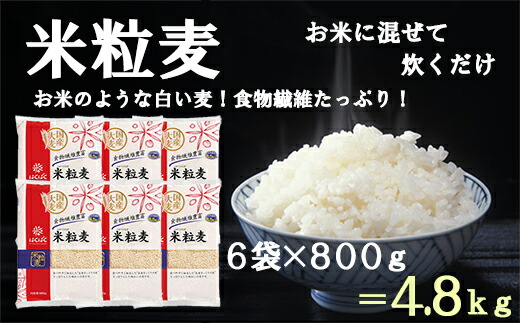 【ふるさと納税】【はくばく】米粒麦 ６袋（１袋８００ｇ）　国産大麦 食物繊維 麦 むぎ むぎご飯 麦ごはん 麦ご飯 白い麦