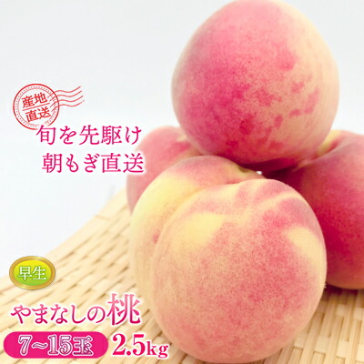 【ふるさと納税】【2025年発送分】もも 約2.5kg（早生）7～15玉　桃 モモ ピーチ 山梨県産 フルーツ くだもの 果物 産地直送 早生 はなよめ ちよひめ 日川白鳳 夢桃香 先行予約