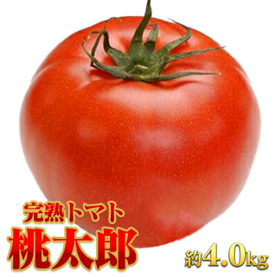 【ふるさと納税】【JA職員厳選】【完熟！】平林トマト 約4.0kg  トマト 大容量 産地直送 桃太郎 ももたろう