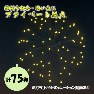 【ふるさと納税】【特別な記念・思い出に】プライベート花火（７５発） 花火 はなび 記念 思い出 プライベート アニバーサリー 誕生日 記念日 結婚 プロポーズ｜山梨県富士川町