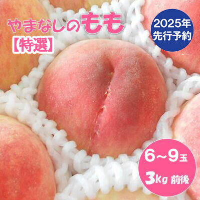 【ふるさと納税】【2025年発送分 先行予約】【朝採れももを直送！】【7月以降発送予定】【特選】フルーツ王国やまなし 小林農園の桃（6～9個入り/3kg前後）桃 モモ もも ピーチ 3kg フルーツ 果物 山梨 富士川町 甘い 夢みずき 浅間白桃 なつっこ 川中島白桃 一宮水蜜 白秋