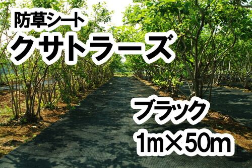 【ふるさと納税】【防草居敷き】クサトラーズ（１ｍ×５０ｍ）黒いこと