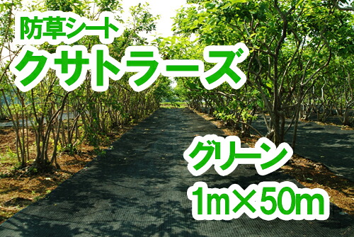 【ふるさと納税】【防草居敷き】クサトラーズ（１ｍ×５０ｍ）緑であること