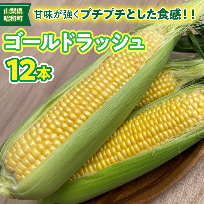【ふるさと納税】＜2026年発送＞ふるさと納税 とうもろこし トウモロコシ ゴールドラッシュ 朝採り 甘い 産地直送 野菜 新鮮 旬 贈り物 お取り寄せ お土産 国産 ギフト 産地直送 人気 おすすめ 山梨県 昭和町 昭和町ブランドとうもろこし「GOLDラッシュ」 SWBN002