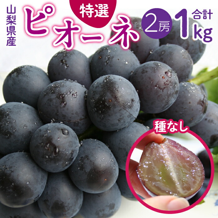 【ふるさと納税】ふるさと納税 山梨県産 種無し ピオーネ 種なし 先行予約 ぶどう 葡萄 青果 フルーツ ブドウ 人気 ギフト プレゼント お祝い 山梨県 昭和町 贈り物 送料無料 おすすめ＜2025年/令和7年発送先行予約＞山梨県産 種無しピオーネ約500g×2房SWAM001