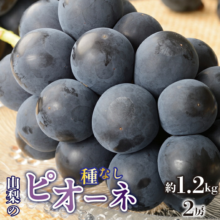 【ふるさと納税】ふるさと納税 種無し ピオーネ 種なし 先行予約 ぶどう 葡萄 青果 フルーツ ブドウ 人気 ギフト プレゼント お祝い 山梨県 昭和町 贈り物 送料無料 おすすめ＜2026年/令和8年発送先行予約＞種無しピオーネ　約1.2kg　2房SWAO001