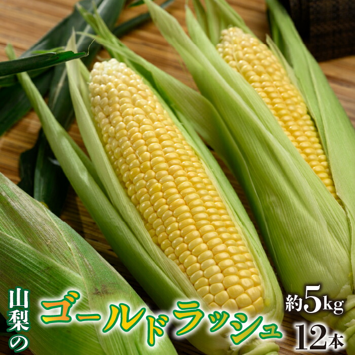 【ふるさと納税】ふるさと納税  ゴールドラッシュ 甘い ボリューミー 山梨県産 産地直送 新鮮 野菜 先行予約 とうもろこし  人気 ギフト プレゼント お祝い 山梨県 昭和町 贈り物 送料無料 おすすめ＜2025年/令和7年発送先行予約＞ゴールドラッシュ 約5kg　12本入りSWAO003