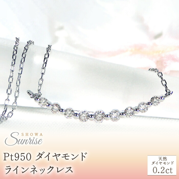 【ふるさと納税】 【0.2ct】Pt950 ダイヤモンド ラインネックレス　CSN00217-PT SWAV021 107,250円