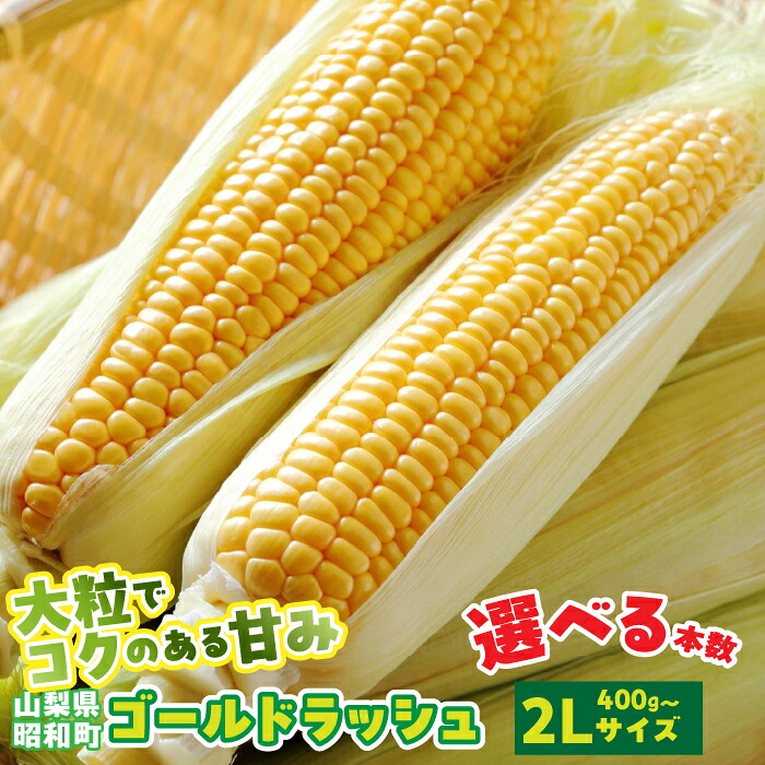 【ふるさと納税】【2026年発送先行予約】山梨県産ゴールドラッシュ2Lサイズ 6本 10本 20本 セット とうもろこし もろこし トウモロコシ モロコシ コーン 国産 国産野菜 新鮮 産地直送 バーベキュー BBQ キャンプ アウトドア お取り寄せ SWBS001