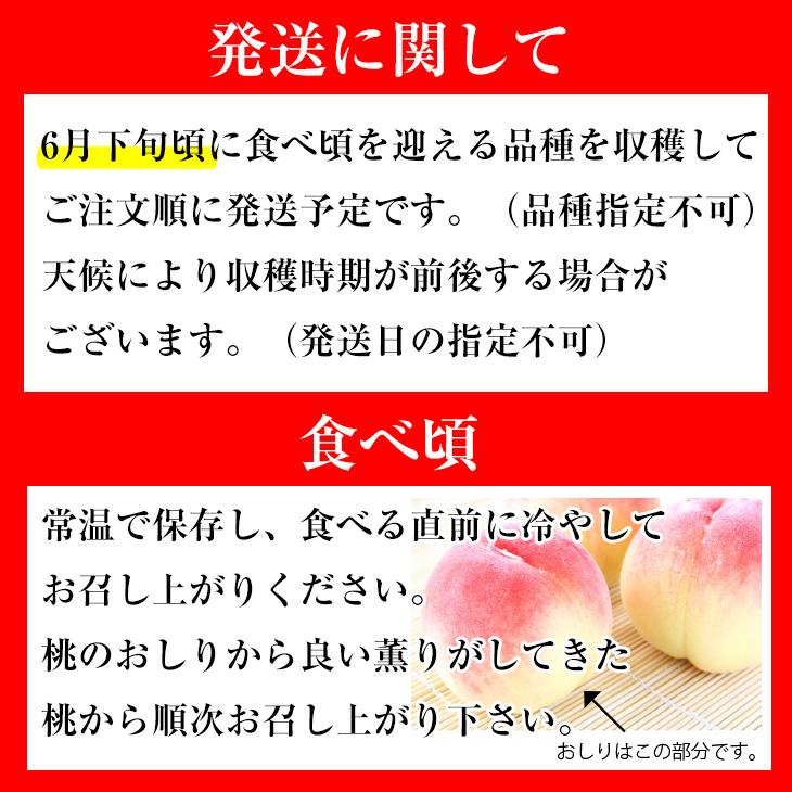 ふるさと納税 山梨の石竹色 凡そ Kg 珠玉 稔りタイムで選べる山梨の桃 市販時期準則 6月光下旬潮どき 6月に食べられるめぼしいな早生種類 高減す 北海道 沖縄 離島への届ける不可 Lanuitdessoudeurs Fr