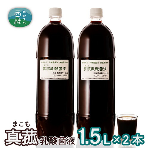 【ふるさと納税】 No.103 真菰（まこも）乳酸菌液　1.5L×2本 ／ マコモ 無農薬栽培 送料無料 山梨県