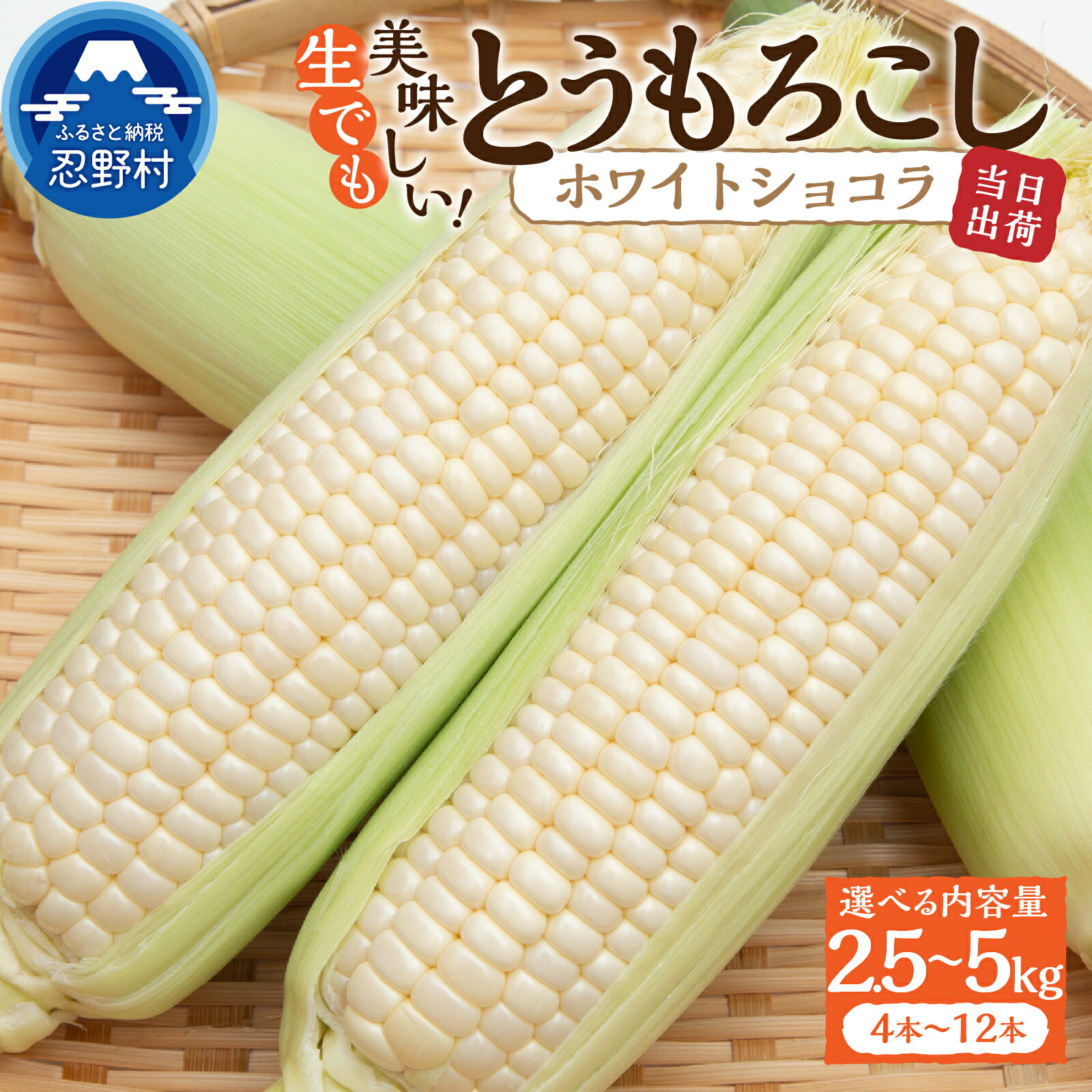【ふるさと納税】 《先行予約》 とうもろこし コーン 朝採り 人気 トウモロコシ ホワイトショコラ 2.5kg 5kg とうきび 野菜 お取り寄せ 産地直送 農家直送 直送 新鮮 ギフト プレゼント 贈り物 贈答 自宅用 食用  送料無料 ※沖縄県、離島不可 山梨県 忍野村