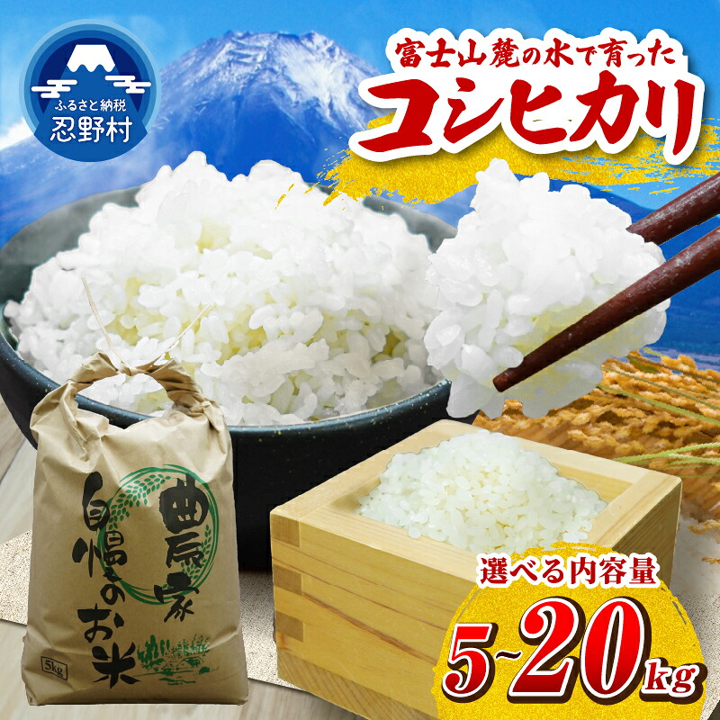 【ふるさと納税】 【新米先行予約】 【数量限定】 コシヒカリ 白米 米 5kg 10kg 20kg 山梨県 忍野村産 令和8年度産 お米 精米 こめ コメ 送料無料 忍野村|山梨県忍野村