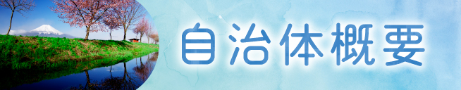 楽天市場】【ふるさと納税】卵 たまご 旨味 ピンク玉 80個 新鮮 こだわり卵 忍野村 山梨県産 送料無料※沖縄県、離島不可 : 山梨県忍野村