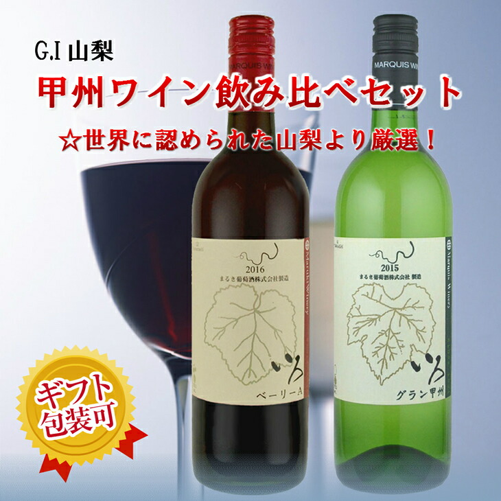 【ふるさと納税】甲州ワイン飲み比べ　赤白2本セット　R108☆世界に認められた山梨より厳選。