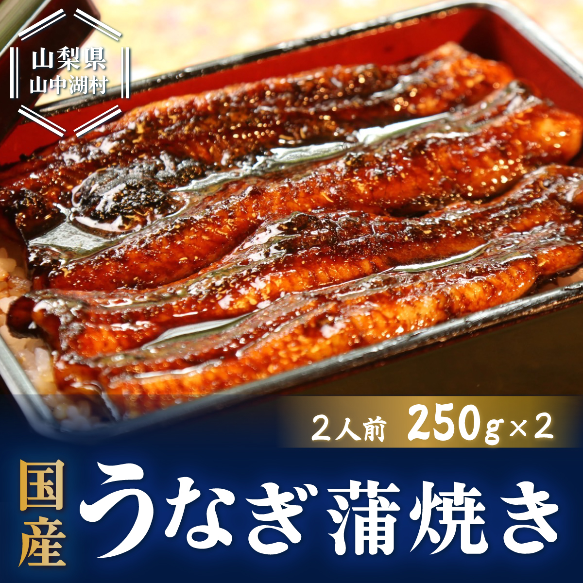 市場 ふるさと納税 250g×2 国産うなぎ蒲焼 うなぎ 2人前 計500g