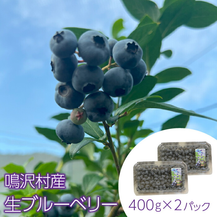 【ふるさと納税】＜26年発送先行予約＞鳴沢村産生ブルーベリー400ｇ×２パック ふるさと納税 ブルーベリー 生ブルーベリー フルーツ 山梨県 鳴沢村 送料無料 NSJ033