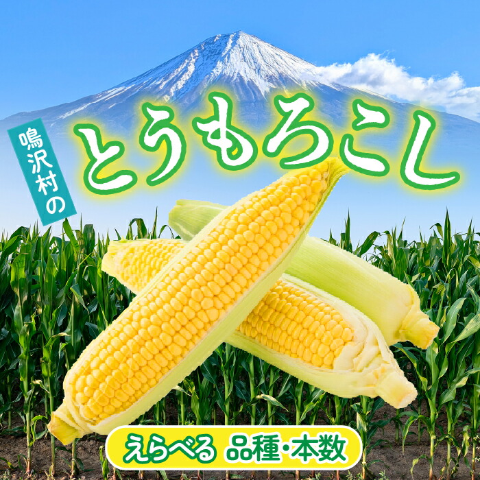 【ふるさと納税】＜25年発送先行予約＞＼選べる品種・本数／ 鳴沢村のとうもろこし ふるさと納税 とうもろこし トウモロコシ コーン 野菜 山梨県 鳴沢村 送料無料 NSJ017/NSJ018/NSH003/NSH004