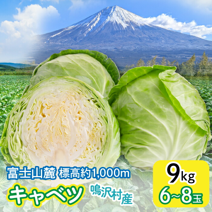 【ふるさと納税】 ＜2026年発送＞キャベツ　9kg　（６～８玉）ふるさと納税 キャベツ 新鮮 美味しい シャキシャキ 野菜 山梨県 鳴沢村 送料無料 NSAK005｜山梨県鳴沢村 7,700円