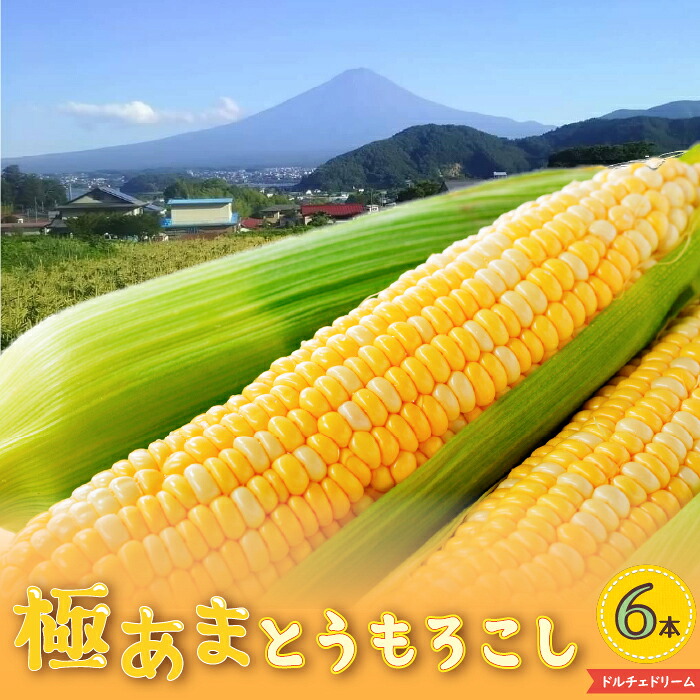 【ふるさと納税】 ＜2026年先行予約＞【富士山の麓で育つ】山梨県富士河口湖町産Inakakaraとうもろこし「ドルチェドリーム」6本入 ふるさと納税 人気 おすすめ ランキング とうもろこし ドルチェドリーム トウモロコシ コーン 山梨県 富士河口湖町 送料無料 FBA007