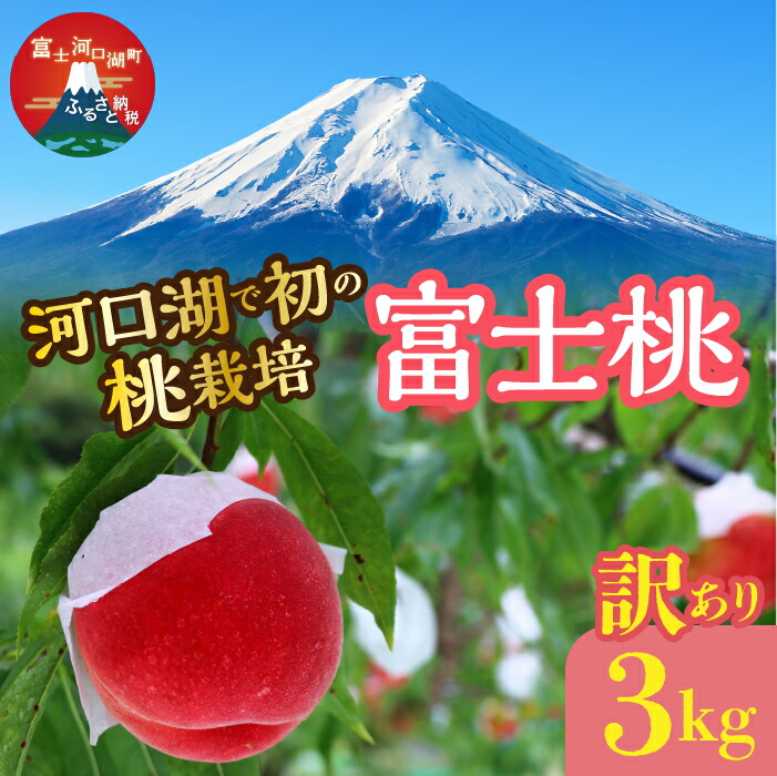 【ふるさと納税】 ＜25年発送先行予約＞【訳あり】河口湖で初の桃栽培！オリジナルブランド富士桃『訳あり』(約３キロ) ふるさと納税 訳あり 桃 もも おすすめ 人気 期間限定 山梨県 富士河口湖町 送料無料 FAH001