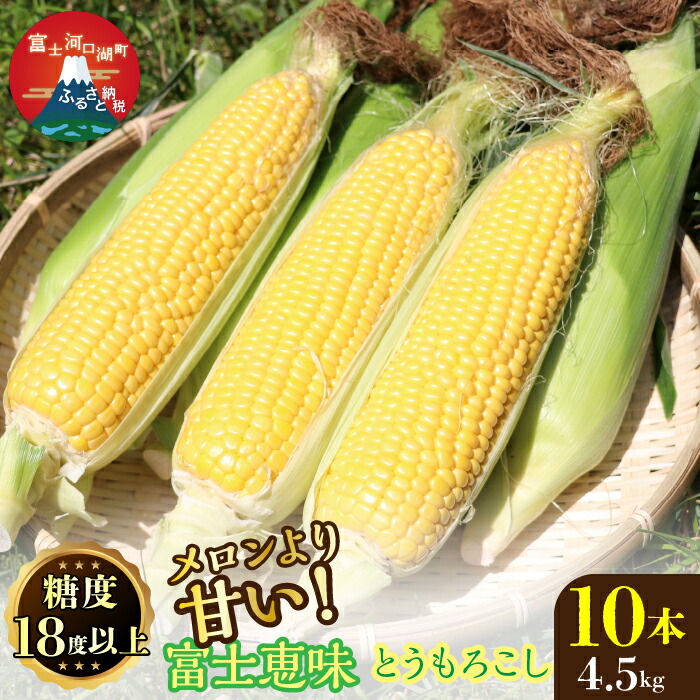 【ふるさと納税】 ＜25年発送先行予約＞メロンより甘い！生で美味しいとうもろこし富士恵味１０本セット 惠味ゴールド スイートコーン ふるさと納税 とうもろこし おすすめ 人気 期間限定 山梨県 富士河口湖町 送料無料 FAH003