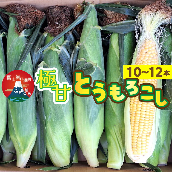 【ふるさと納税】 ＜2025年発送先行予約＞ 極甘とうもろこし（10～12本） ふるさと納税 とうもろこし 恵味ゴールド トウモロコシ コーンおすすめ 人気 期間限定 山梨県 富士河口湖町 送料無料 FEG002