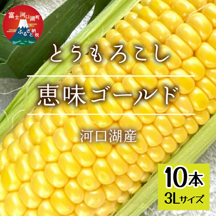 【ふるさと納税】 ＜2025年7月下旬以降発送予約＞河口湖産　とうもろこし　恵味ゴールド　1箱（3Lサイズ10本入り） ふるさと納税 とうもろこし 恵味ゴールド トウモロコシ コーン おすすめ 人気 期間限定 山梨県 富士河口湖町 送料無料 FEH003