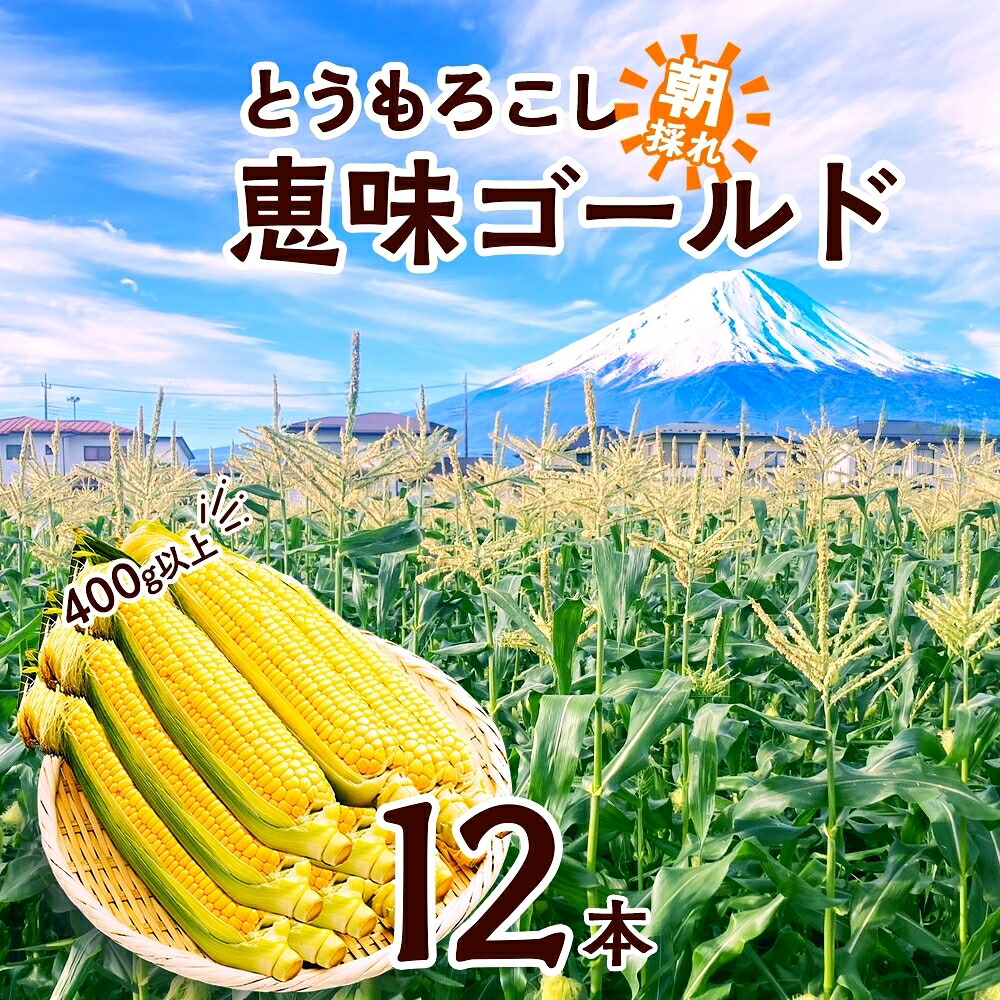 【ふるさと納税】 ＜2026年発送先行予約＞ とうもろこし 恵味 ゴールド 400g以上 × 12本 高糖度 トウモロコシ スイートコーン 玉蜀黍 イエローコーン 黄 夏野菜 甘い ジューシー 野菜 おやつ 旬 産地直送 送料無料 湖南野菜出荷組合 山梨県 富士河口湖町 FEM004