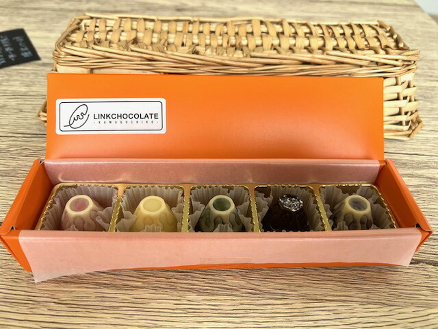 【ふるさと納税】 Fujichocolate５種アソート（５ケ入り） ふるさと納税 Fujichocolate チョコレート 山梨県 富士河口湖町