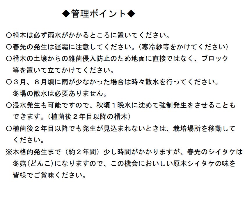 22年8月下旬からお届け 原木シイタケ榾木 国産 キノコ 栽培キット 家庭菜園 椎茸 日本産 しいたけ 山梨県産 原木栽培 きのこ栽培 野菜 山梨 無農薬 山梨県