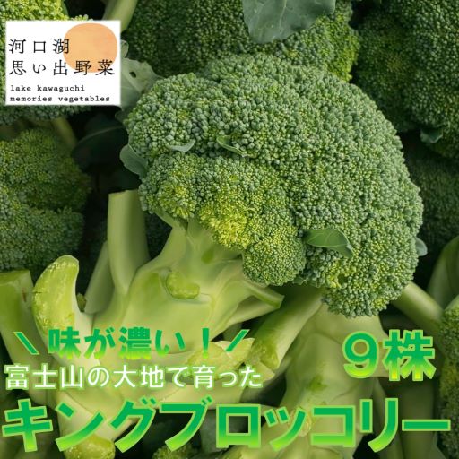 【ふるさと納税】 ＜26年発送先行予約＞【数量限定】でかっ！富士山の大地でゆっくり育ったキングブロッコリー９株 ふるさと納税 レタス おすすめ 人気 期間限定 山梨県 富士河口湖町 送料無料 FAH006 9,750円