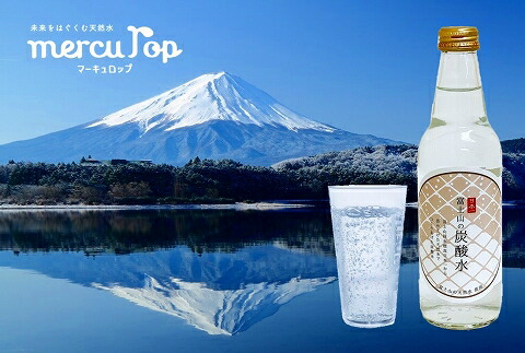 ふるさと納税 お歳暮専用 富士花盛りの炭酸給水 340ml広口瓶 基礎 ふるさと納税 山梨県 富士河口湖集落 特産優雅さ おすすめ Pasadenasportsnow Com