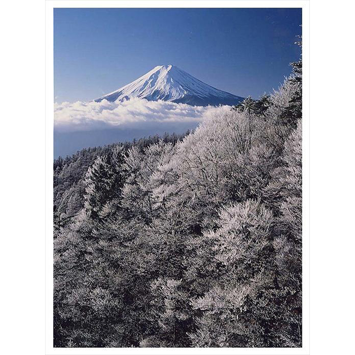 ふるさと納税 全倍版 富士山写真大賞 輝く凍樹 額装写真