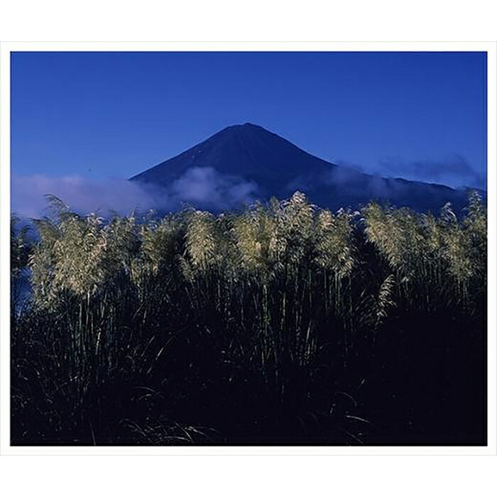 ふるさと納税 全倍版 富士山写真大賞 額装写真 初秋の詩 河口湖大石公園