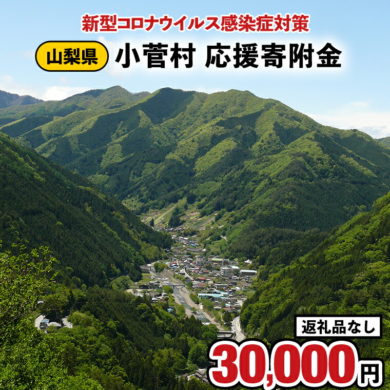 新型コロナウイルス感染症対策応援支援金<小菅村応援寄附金30,000円>