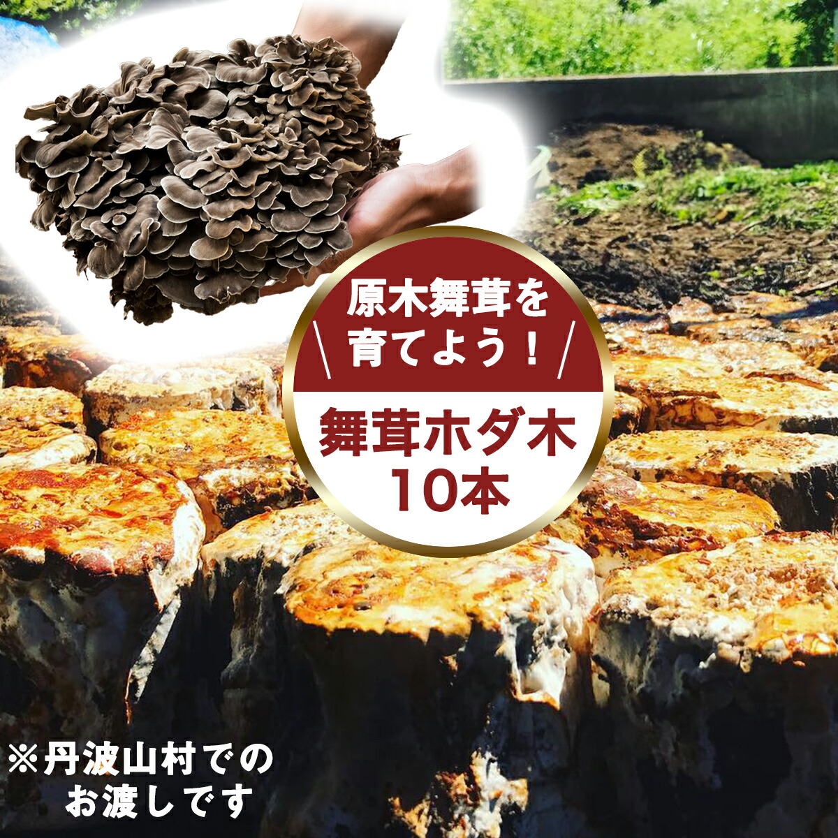 山梨の桃特集