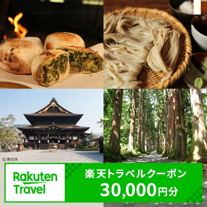 送料込!!★長野 信州サぁイコー！ふるさと旅行券 2枚(2万円分)